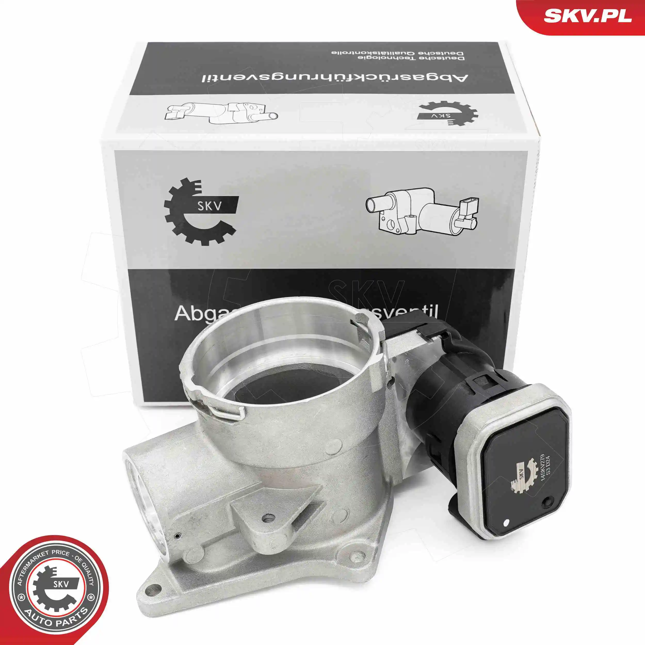 EGR Valve